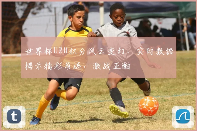 世界杯U20积分风云变幻，实时数据揭示精彩角逐，激战正酣