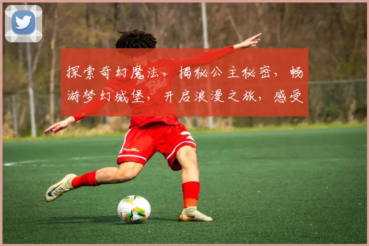 探索奇幻魔法，揭秘公主秘密，畅游梦幻城堡，开启浪漫之旅，感受神秘魅力。