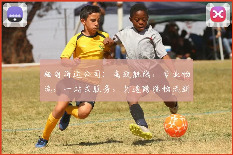 缅甸海运公司：高效航线，专业物流，一站式服务，打造跨境物流新标杆，助力全球贸易。